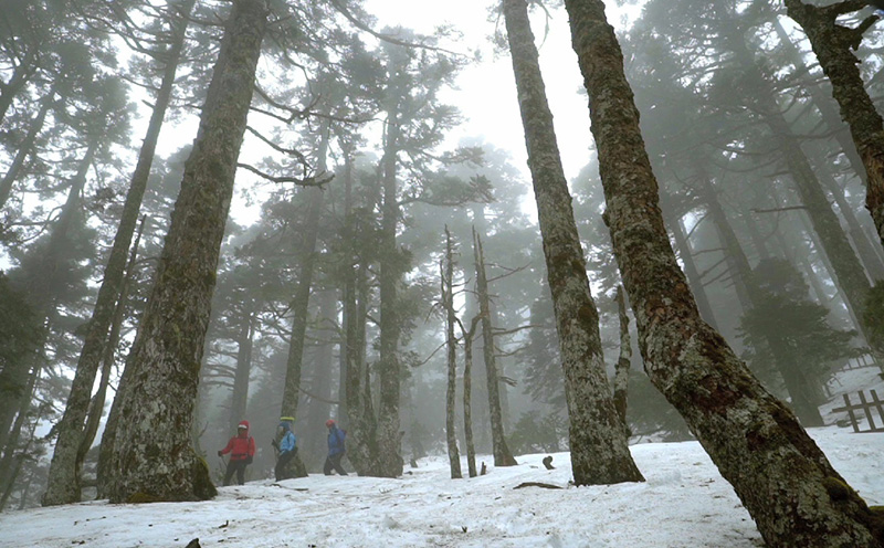 Mountain and Forest Activities - Taiwan Tourism Video (30 seconds)